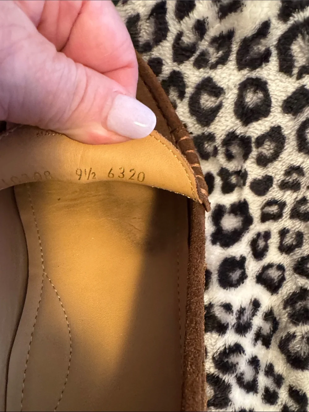 alan payne refined brown